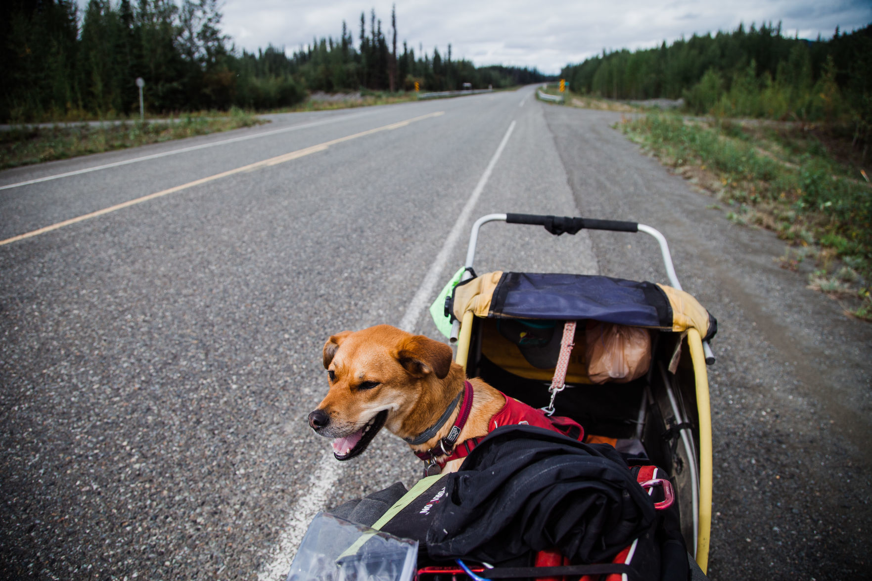 3Alaska Highway 1-11.jpg